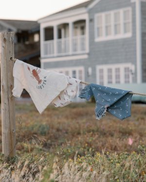 Scoop Back Onepiece || Anchors